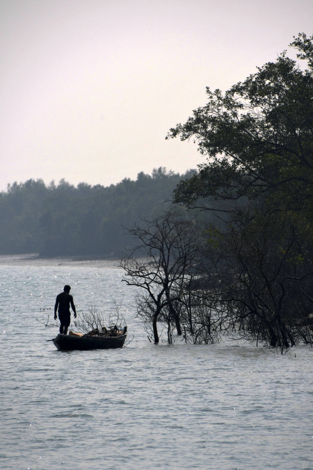 Enriching Biology excursion to the Sundarbans